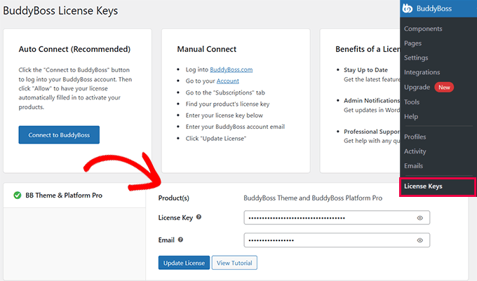 Enter your BuddyBoss license key Enter your BuddyBoss license key