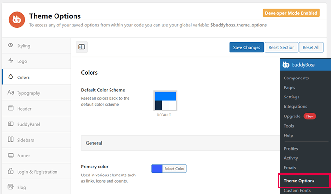 BuddyBoss theme options BuddyBoss theme options